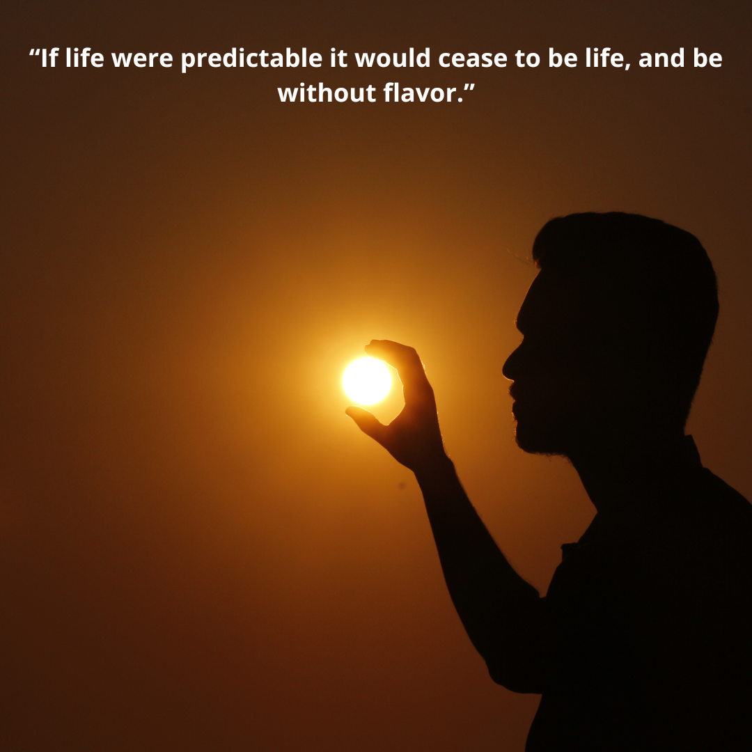 “If life were predictable it would cease to be life, and be without flavor.”