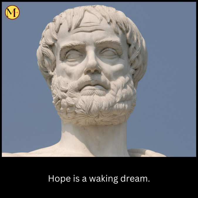 Hope is a waking dream.