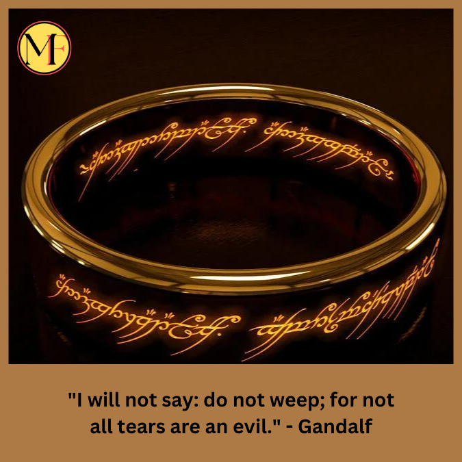 "I will not say: do not weep; for not all tears are an evil." - Gandalf