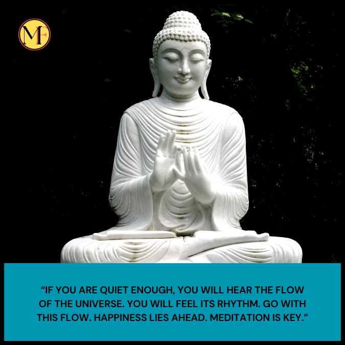 “If you are quiet enough, you will hear the flow of the universe. You will feel its rhythm. Go with this flow. Happiness lies ahead. Meditation is key.”