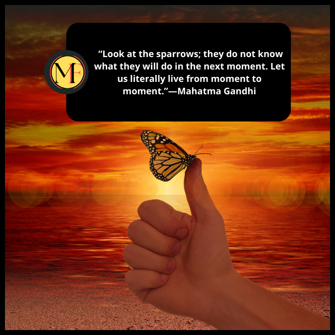  “Look at the sparrows; they do not know what they will do in the next moment. Let us literally live from moment to moment.”—Mahatma Gandhi