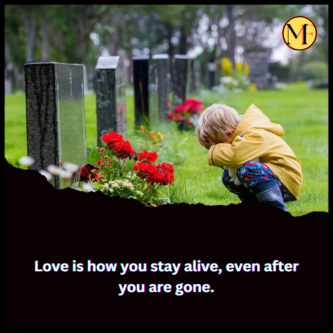 Love is how you stay alive, even after you are gone.