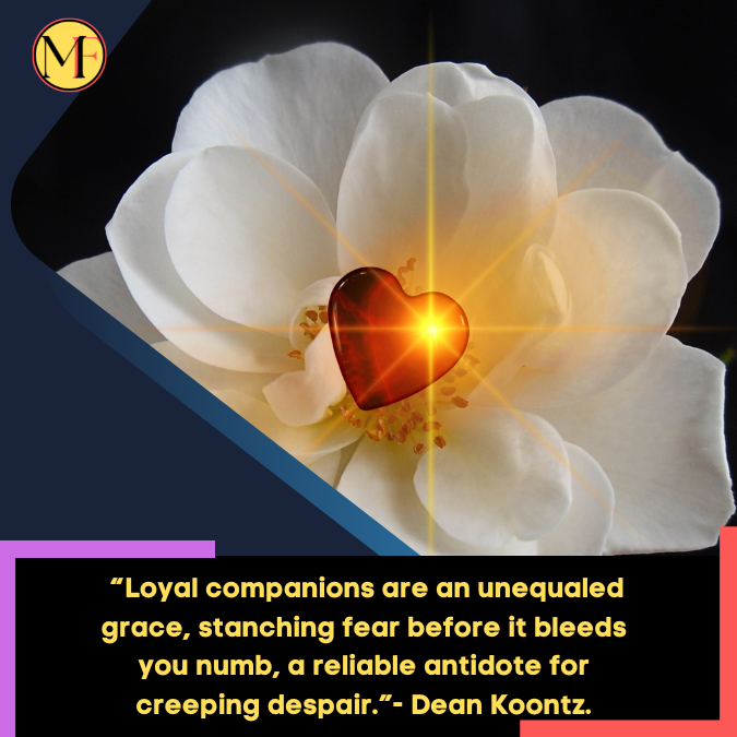 _“Loyal companions are an unequaled grace, stanching fear before it bleeds you numb, a reliable antidote for creeping despair.”- Dean Koontz.