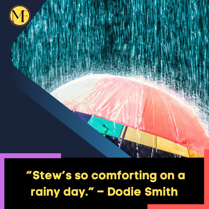 _“Stew’s so comforting on a rainy day.” – Dodie Smith (1)