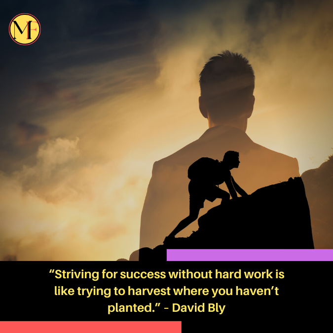 “Striving for success without hard work is like trying to harvest where you haven’t planted.” – David Bly