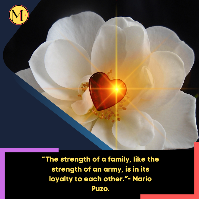 “The strength of a family, like the strength of an army, is in its loyalty to each other.”- Mario Puzo.