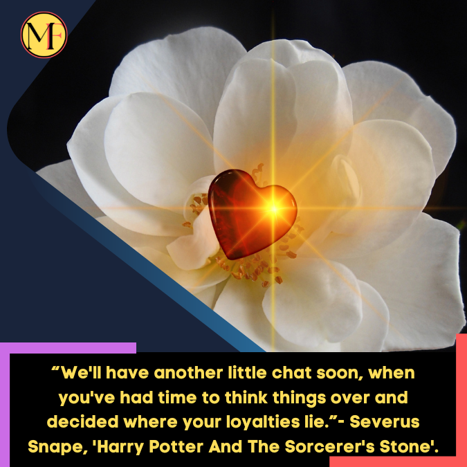 “We'll have another little chat soon, when you've had time to think things over and decided where your loyalties lie.”- Severus Snape, 'Harry Potter And The Sorcerer's Stone'.