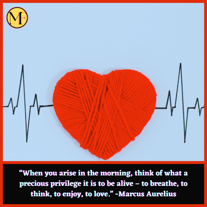 “When you arise in the morning, think of what a precious privilege it is to be alive – to breathe, to think, to enjoy, to love.”  -Marcus Aurelius