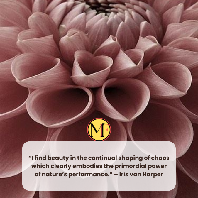 “I find beauty in the continual shaping of chaos which clearly embodies the primordial power of nature’s performance.” – Iris van Harper