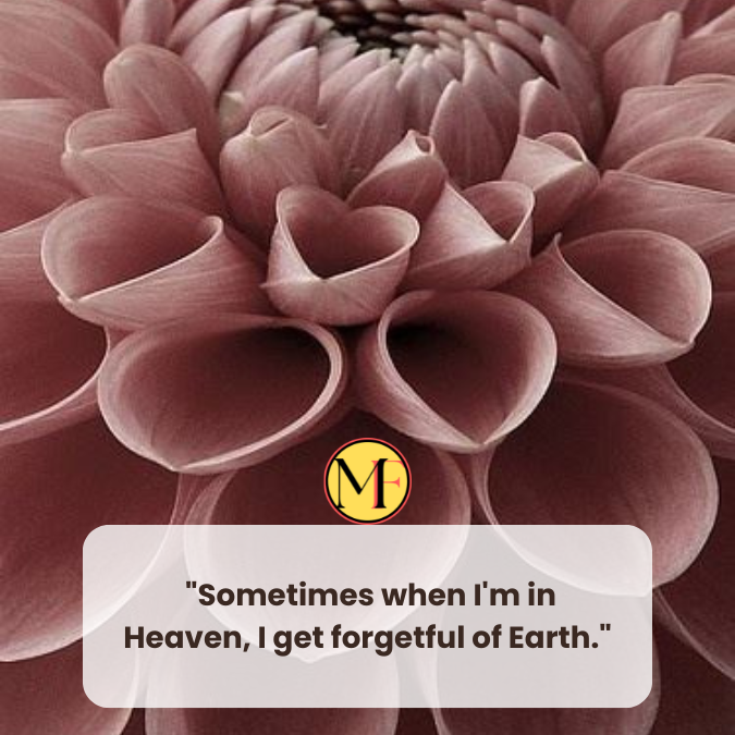  "Sometimes when I'm in Heaven, I get forgetful of Earth."