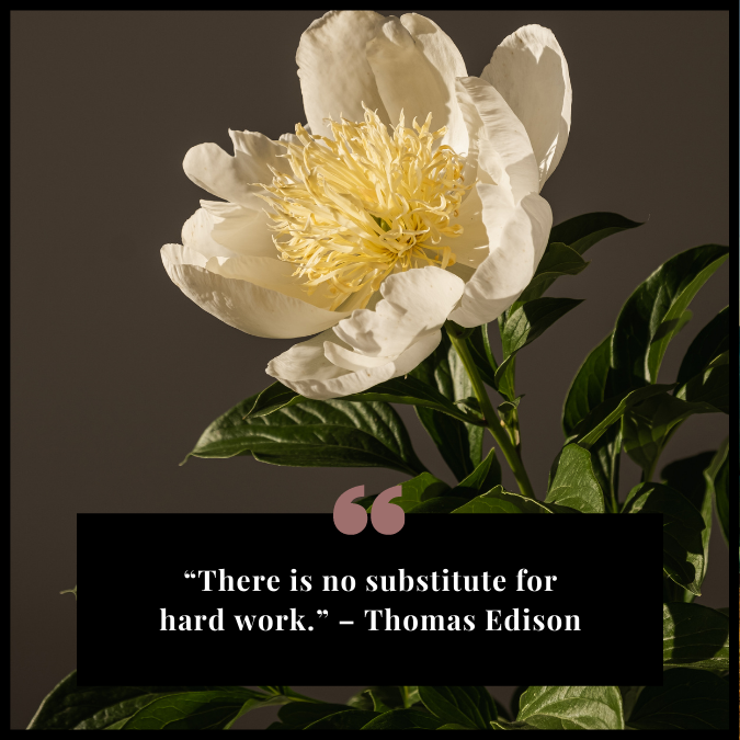 “There is no substitute for hard work.” – Thomas Edison