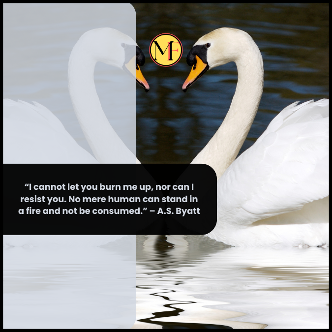 “I cannot let you burn me up nor resist you. No mere human can stand in a fire and not be consumed.” – A.S. Byatt