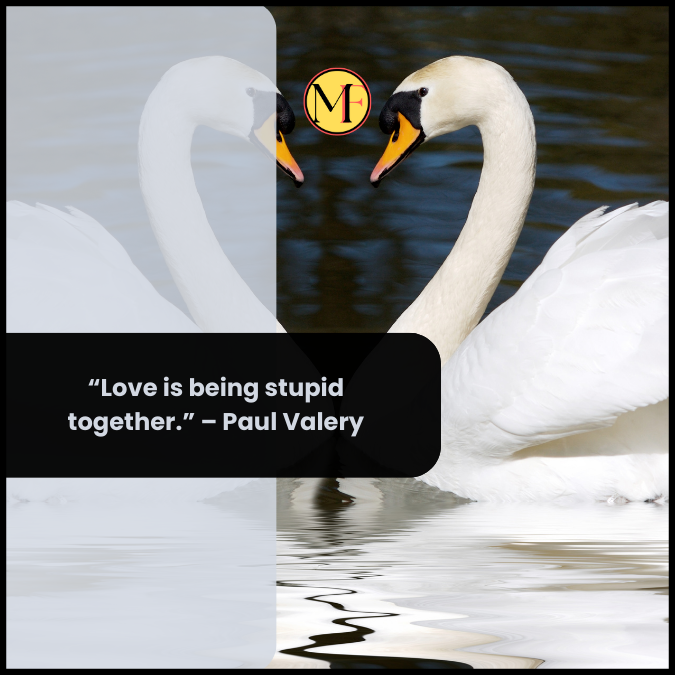 “Love is being stupid together.” – Paul Valery