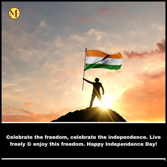 Celebrate the freedom, celebrate the independence. Live freely & enjoy this freedom. Happy Independence Day!