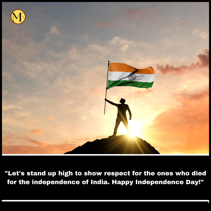 "Let's stand up high to show respect for the ones who died for the independence of India. Happy Independence Day!"