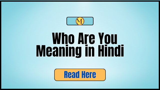 Who Are You Meaning in Hindi